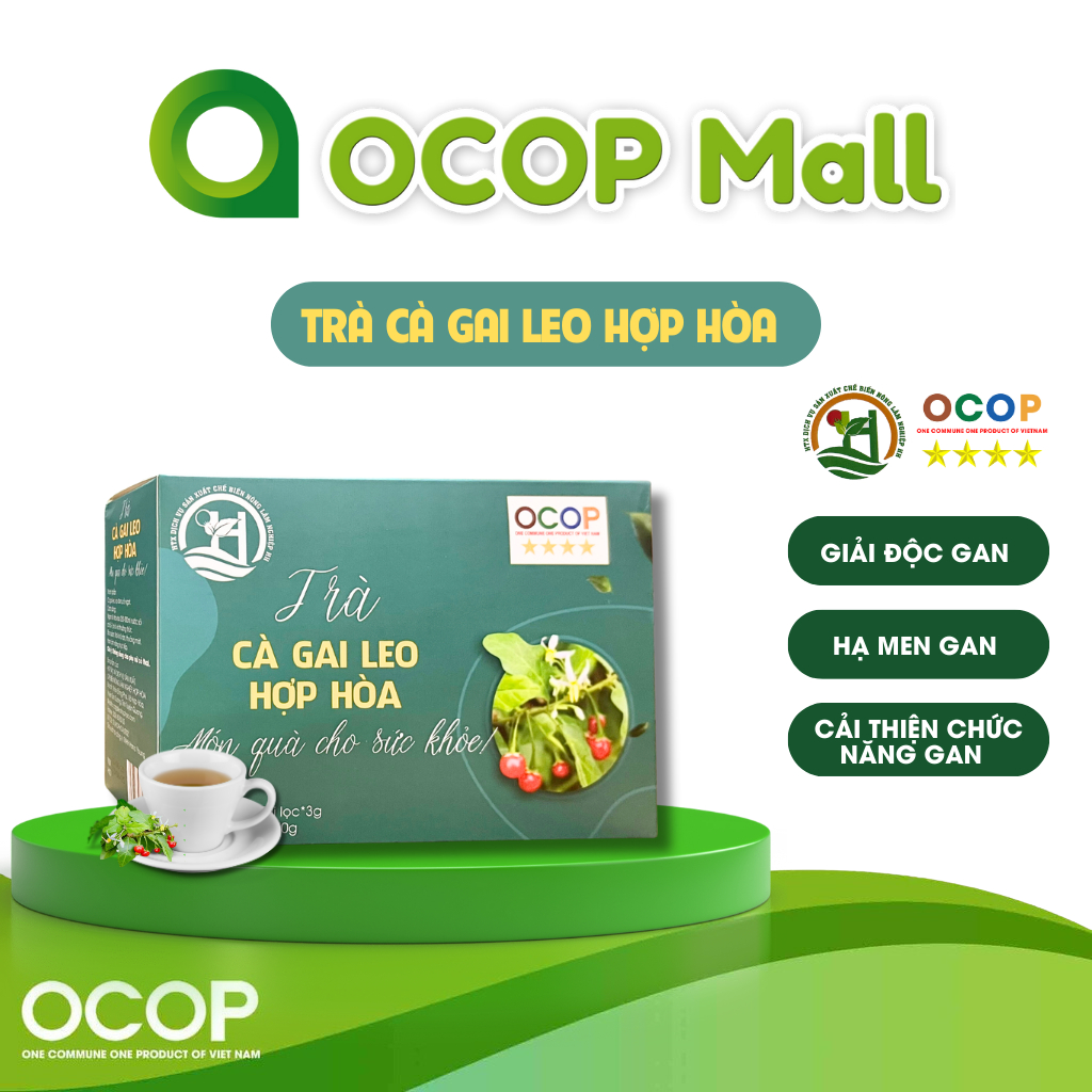 Trà cà gai leo túi lọc Hợp Hòa thanh nhiệt giải độc mát gan hộp 50 gói - sản phẩm OCOP 4 sao
