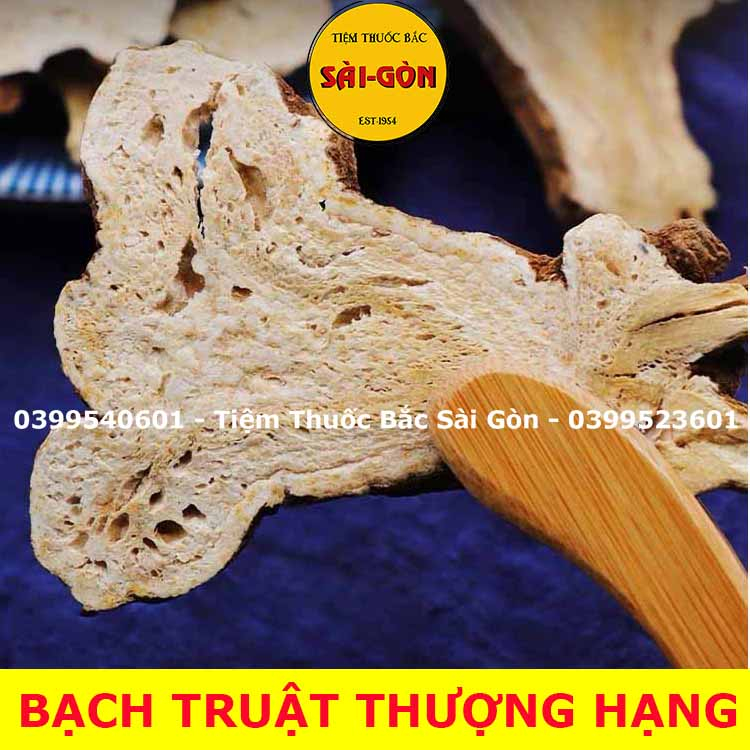 Bạch Truật 100g (Hàng thượng hạng, mới, đẹp)