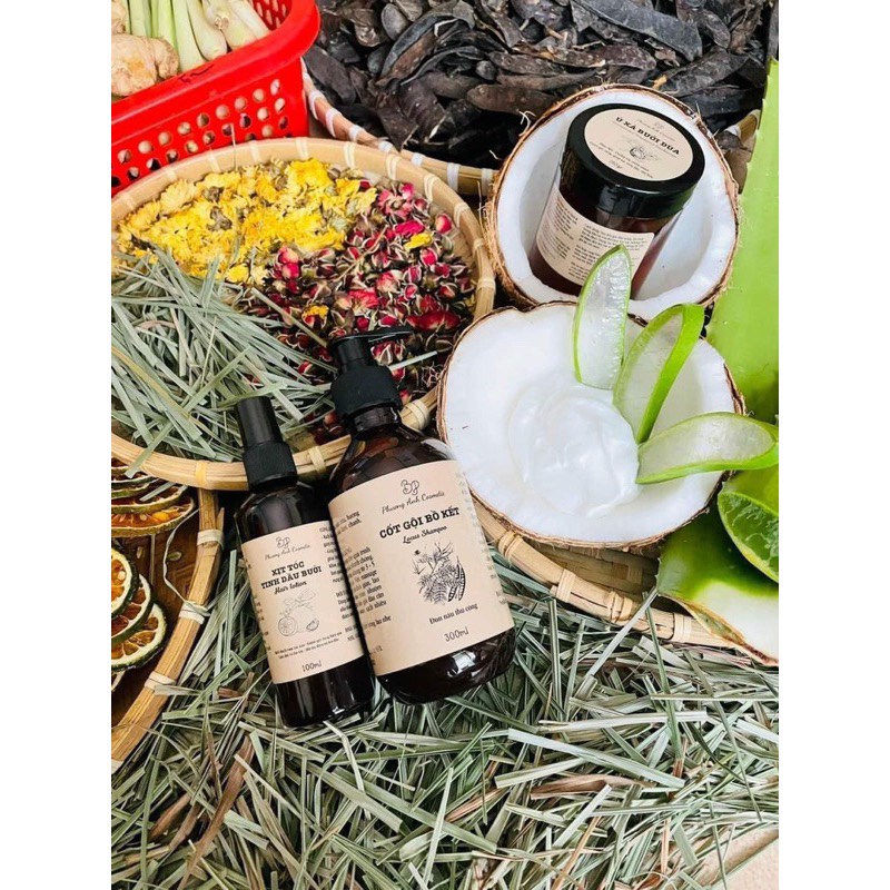 Combo cốt gội đầu bồ kết Phương Anh cosmetic