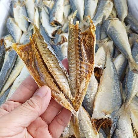 Cá Nục Khô hàng chọn lọc loại 1 (túi 250gr, 500gr, 1kg) - Đặc Sản Biển