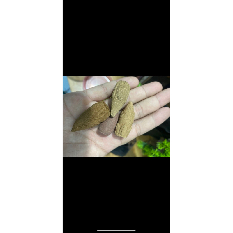 Thác lũa xông trầm