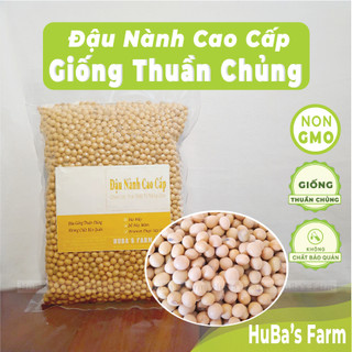 Đậu nành giống thuần chủng, đậu tương giàu dinh dưỡng, đậu nành làm giá không chất bảo quản