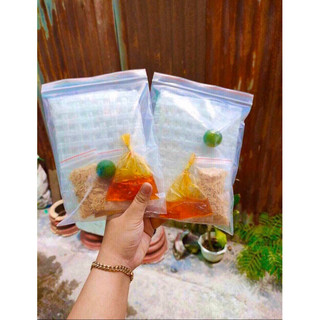 BÁNH TRÁNG CHẤM SATE HÀNH PHI - btcoupl_tn