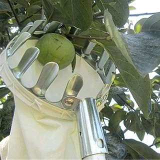 Vợt hái trái cây trên cao , dụng cụ hái trái cây bằng kim loại tiện dụng