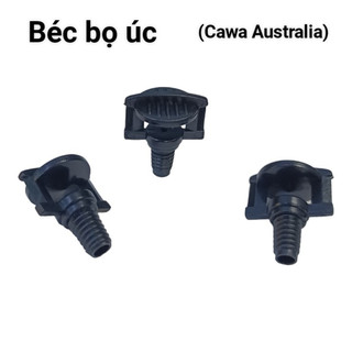 Béc bọ úc, Béc tưới lan