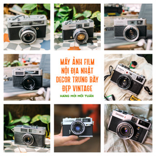 [HÀNG MỚI THÁNG 9/2025] Máy ảnh film Vintage Retro Máy ảnh DECOR dùng trưng bày làm đạo cụ chụp ảnh SLR TLR RF SONG KÍNH