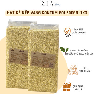 Hạt kê nếp vàng kontum canh tác tự nhiên, kê nếp giàu dinh dưỡng gói 500gr-1kg