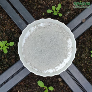 Nấm Đối Kháng Trichoderma Plus Humic SFARM - 1Kg