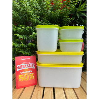 Hộp BQTP Đông Cozy - Tupperware