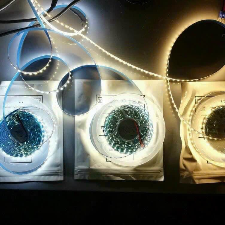 Cuộn 5m Led dây dán 2835 12V 120, 180, 240 mắt led - Ánh sáng vàng, trắng, trung tính