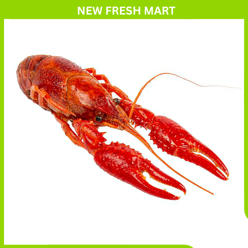 Tôm Hùm Đất Crawfish Size Nhỏ - 2,5kg/túi
