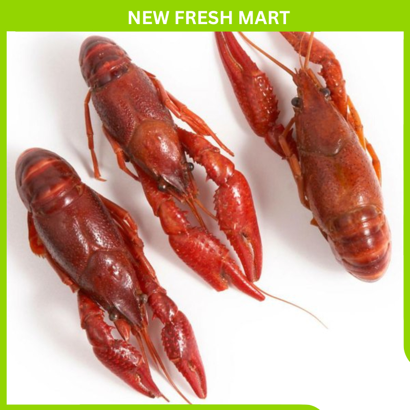 Tôm Hùm Đất Crawfish Size lớn - 2,5kg/túi