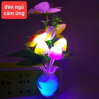 Đèn ngủ cảm ứng chậu hoa , đèn ngủ cảm ứng , đèn ngủ cảm ứng bông hồng và nấm