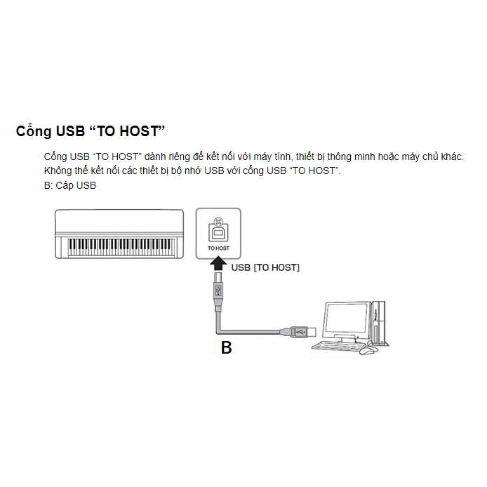 Cable USB to USB MIDI  - Dây máy in, cáp kết nối đàn piano organ - Unitek