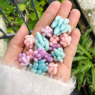 Sen đá đất sét mini trang trí chậu sen đá