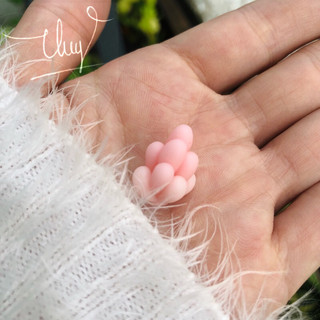 Sen đá đất sét mini trang trí chậu sen đá
