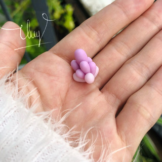 Sen đá đất sét mini trang trí chậu sen đá