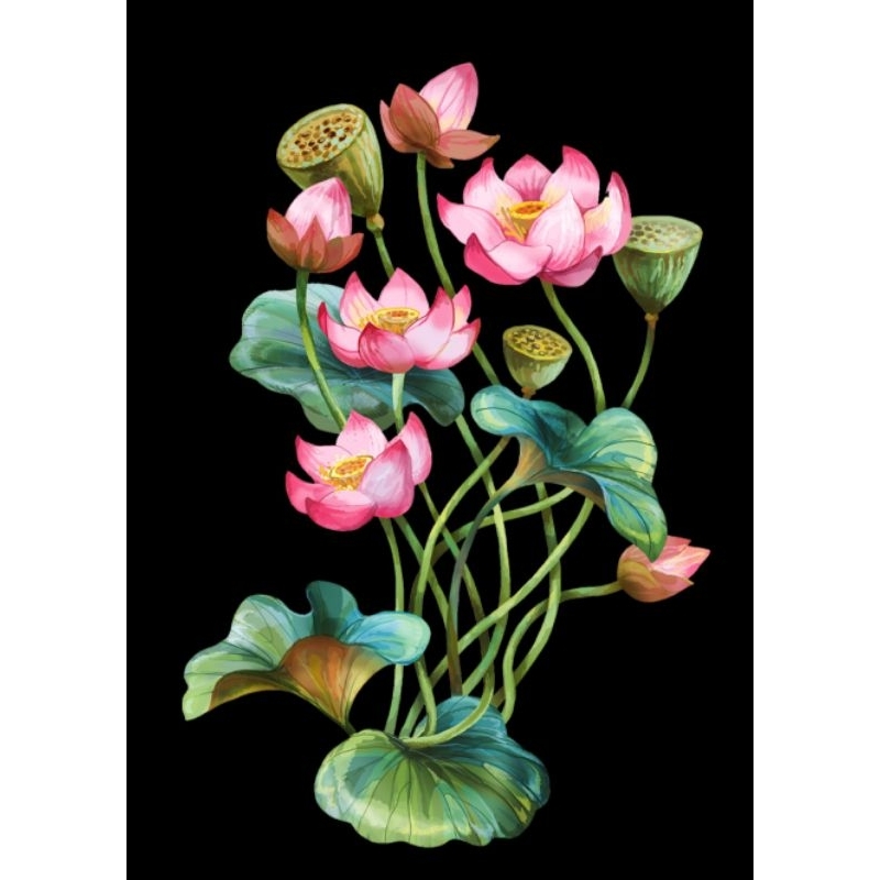 Hình ủi ép nhiệt, in áo. Mẫu Hoa sen HS3 in áo dài, váy, yếm cho mẹ và bé