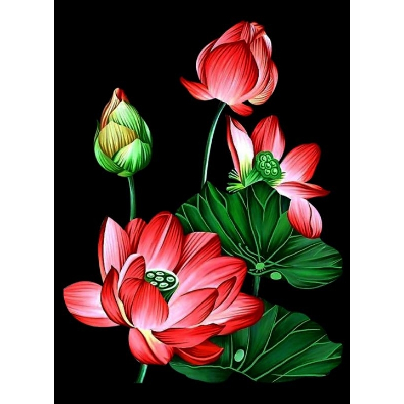 Hình ủi ép nhiệt, in áo. Mẫu Hoa sen HS3 in áo dài, váy, yếm cho mẹ và bé