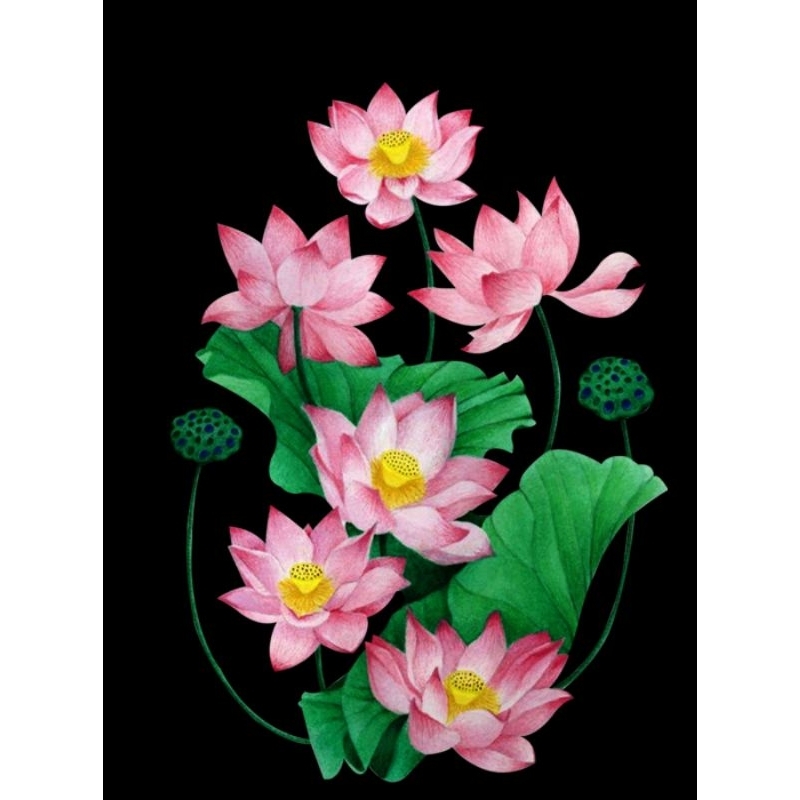 Hình ủi ép nhiệt, in áo. Mẫu Hoa sen HS3 in áo dài, váy, yếm cho mẹ và bé