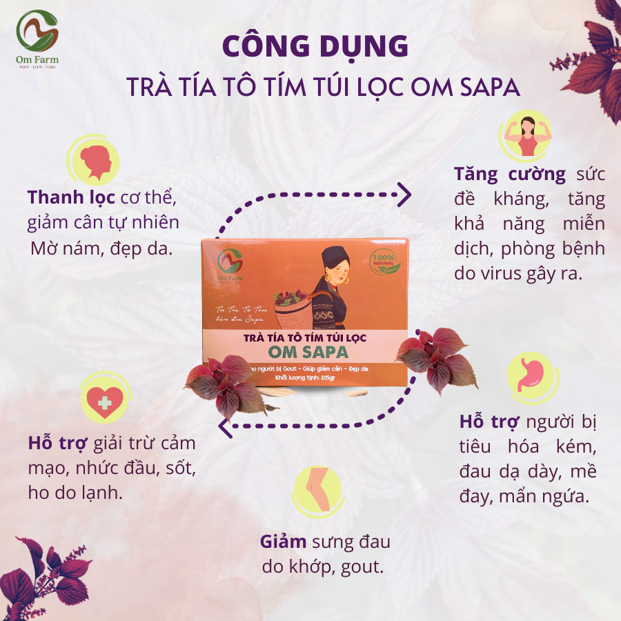 Trà Tía Tô tím Om Sapa nguyên chất Thanh Lọc Cơ Thể, Khỏe Đẹp Da 30 Túi lọc/Hộp