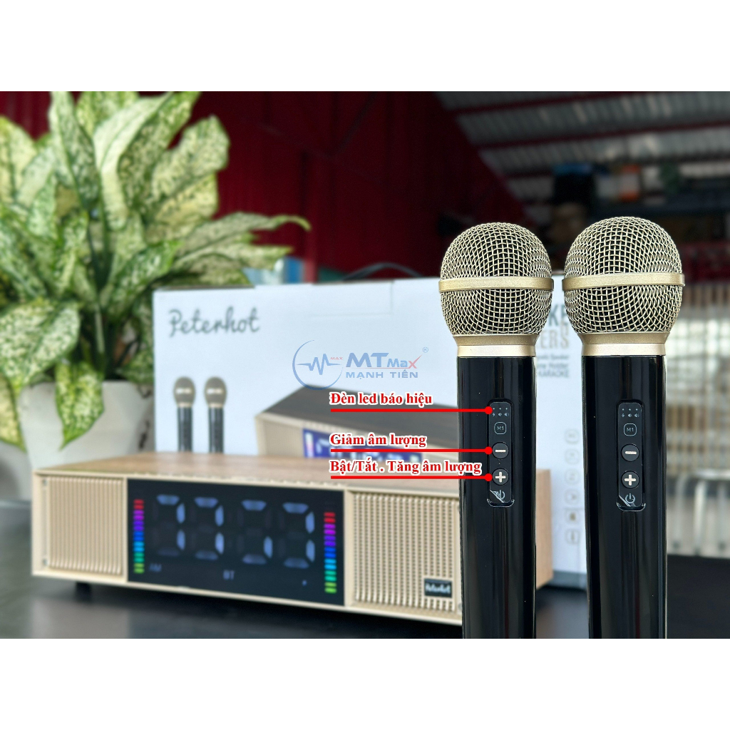 Loa Karaoke Peterhot A133, Tặng 2 Micro, Karaoke, Chơi Nhạc, Trang Trí, Bass Căng, Thiết kế thông minh phong cách.