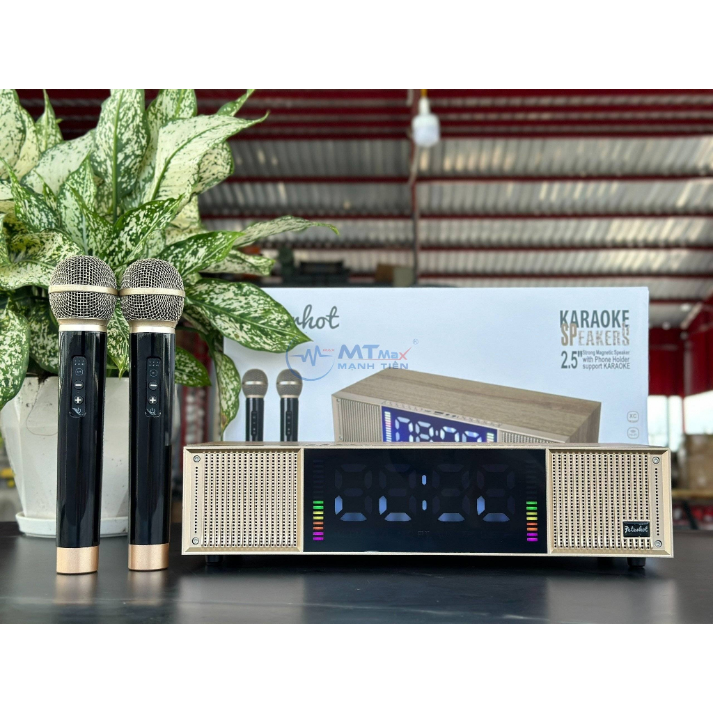 Loa Karaoke Peterhot A133, Tặng 2 Micro, Karaoke, Chơi Nhạc, Trang Trí, Bass Căng, Thiết kế thông minh phong cách.