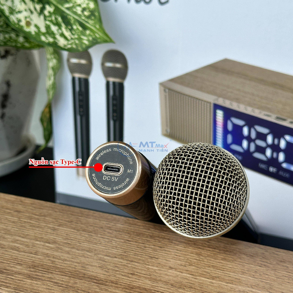 Loa Karaoke Peterhot A133, Tặng 2 Micro, Karaoke, Chơi Nhạc, Trang Trí, Bass Căng, Thiết kế thông minh phong cách.