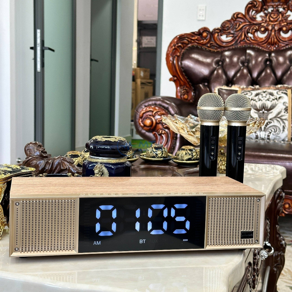 Loa Karaoke Peterhot A133, Tặng 2 Micro, Karaoke, Chơi Nhạc, Trang Trí, Bass Căng, Thiết kế thông minh phong cách.