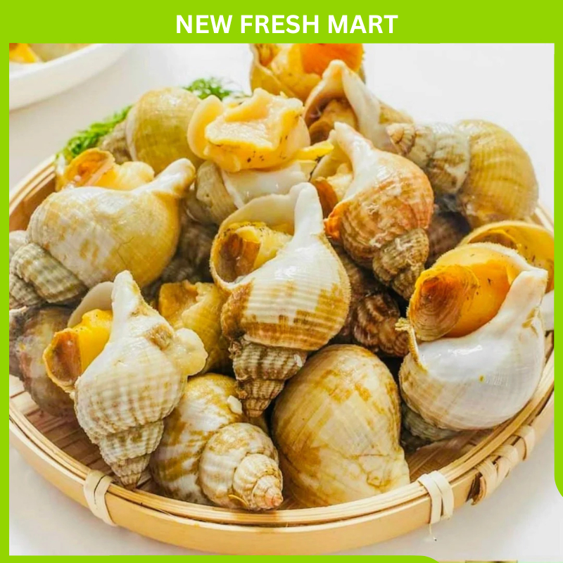 [GIAO NHANH HCM] Ốc Bulot Pháp thịt dai, ngọt - Túi 500Gram