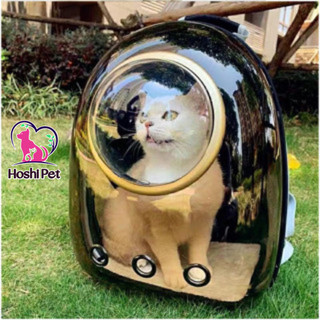 Balo đựng mèo chó size 5kg giá rẻ vận chuyển chó mèo Hoshi Pet BL02 có kính chống nắng