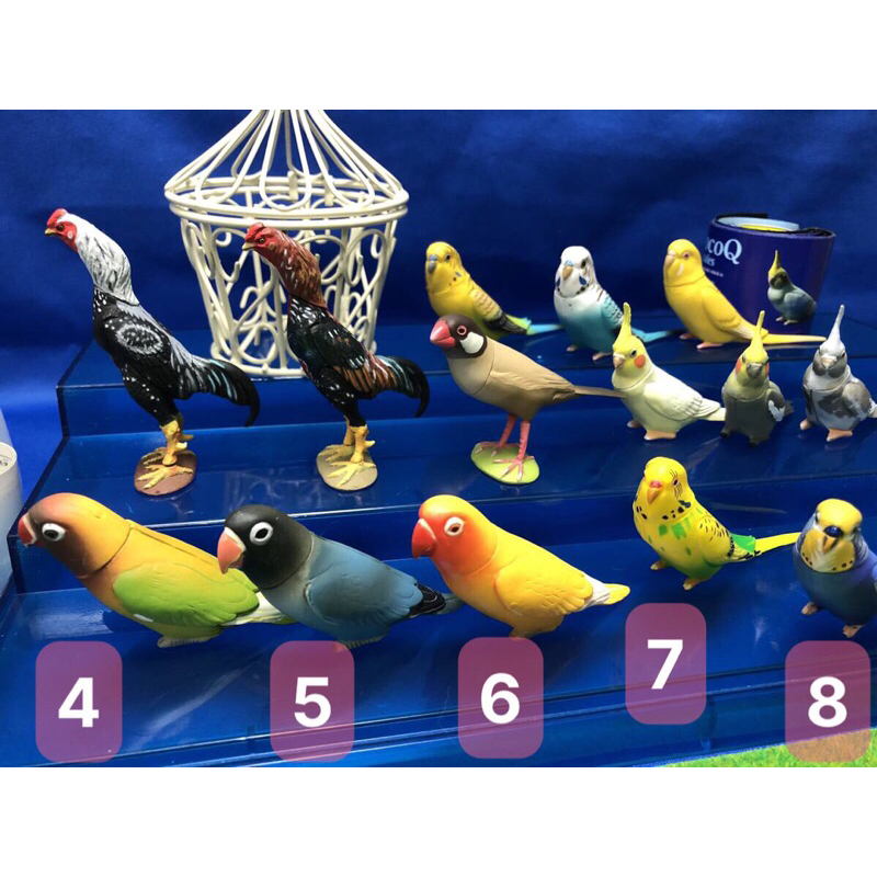 Mô hình vẹt đuôi dài Choco Q animal