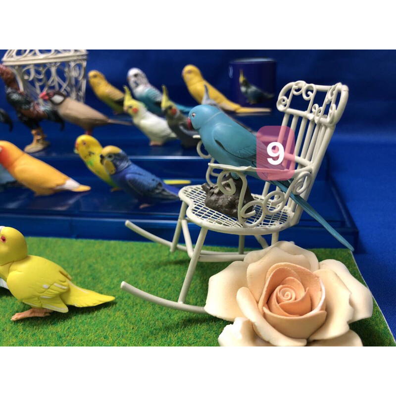 Mô hình vẹt đuôi dài Choco Q animal