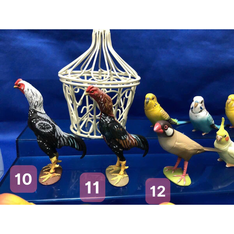 Mô hình vẹt đuôi dài Choco Q animal