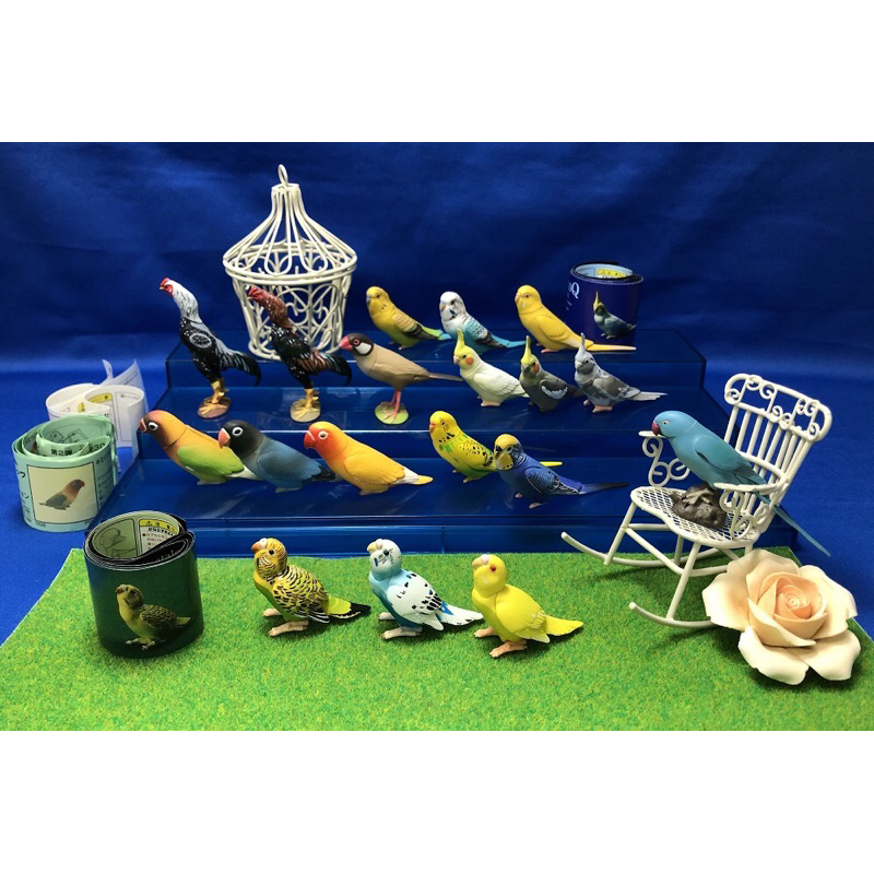 Mô hình vẹt đuôi dài Choco Q animal