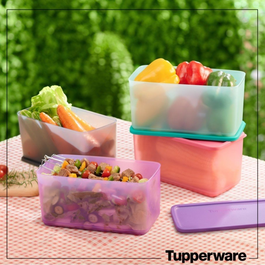 Bộ hộp bảo quản thực phẩm Tupperware Funtastic Four (4 hộp) - Hàng chính hãng - Bảo hành trọn đời - Nhựa nguyên sinh,