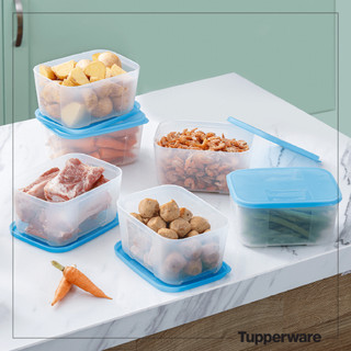 Bộ Hộp Trữ Đông Basic set 6 hộp 650ml - Tupperware