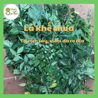 Lá Khế Chua tươi túi 500gr, 1kg đun nước tắm cho bé - Đặt Hàng Mới Hái - Hàng mới mỗi ngày