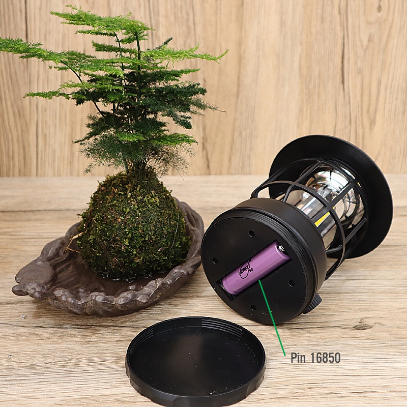 Đèn Cắm Trại, Dã Ngoại, Đèn Bão Măng Xông Công Suất 5W Tích Điện Siêu Tiện Lợi