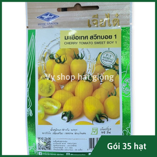 Hạt giống cà chua trái cây vàng Sweet boy Thái Lan gói 30 hạt
