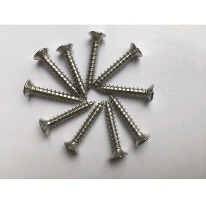 Vít chìm Inox 304 bắt gỗ