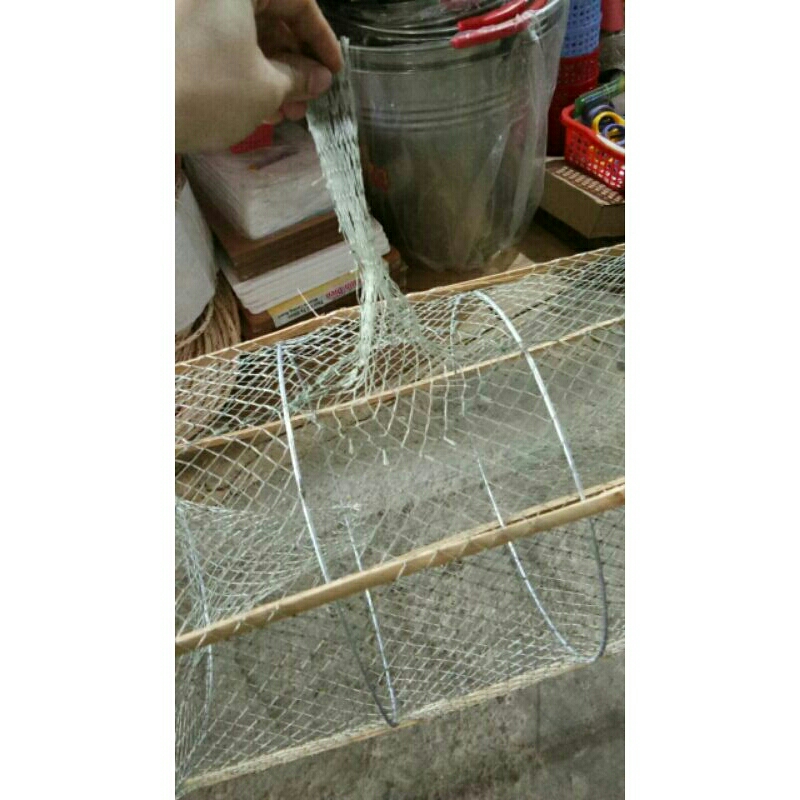 Lờ xếp đặt cá vành chì (vành sắt)