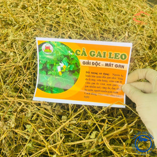 Cà gai leo khô loại 1, trà cà gai leo sấy khô giúp giải độc gan, giải rượu, hỗ trợ thanh nhiệt mát gan