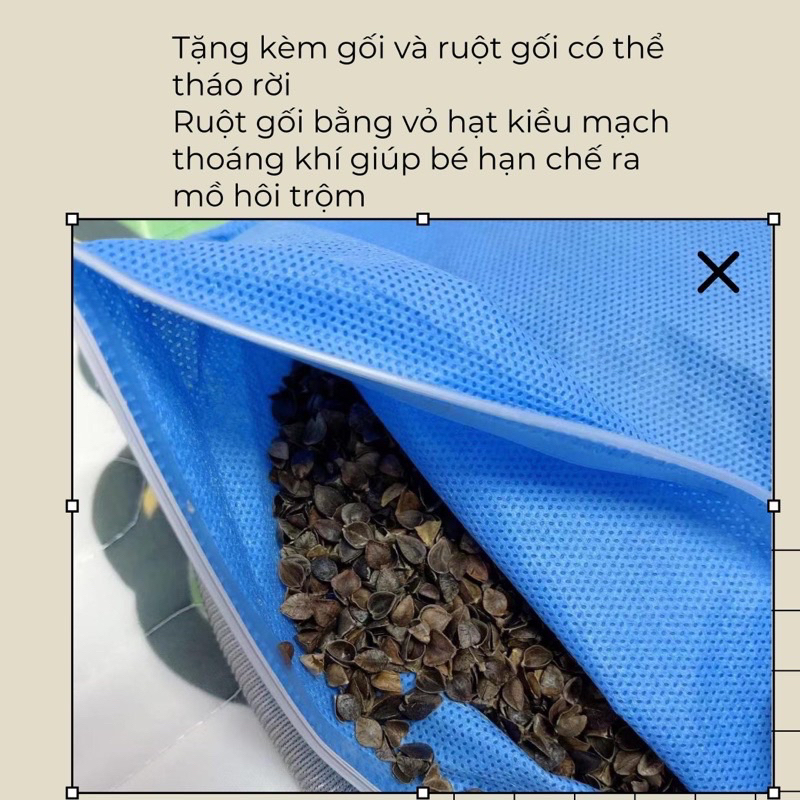 Chiếu Điều Hoà Cao Su Non Tặng Kèm Gối Cho Bé In Hình 5D