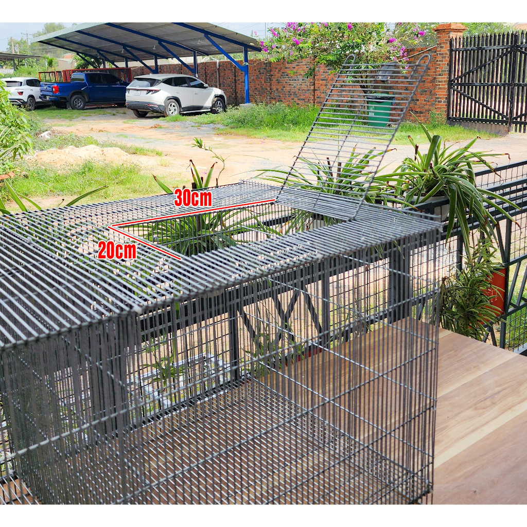 THAKE Chuồng úm gà con 100x50x50cm hai cửa trên Lồng nuôi chim bồ câu công nghiệp , gà tre