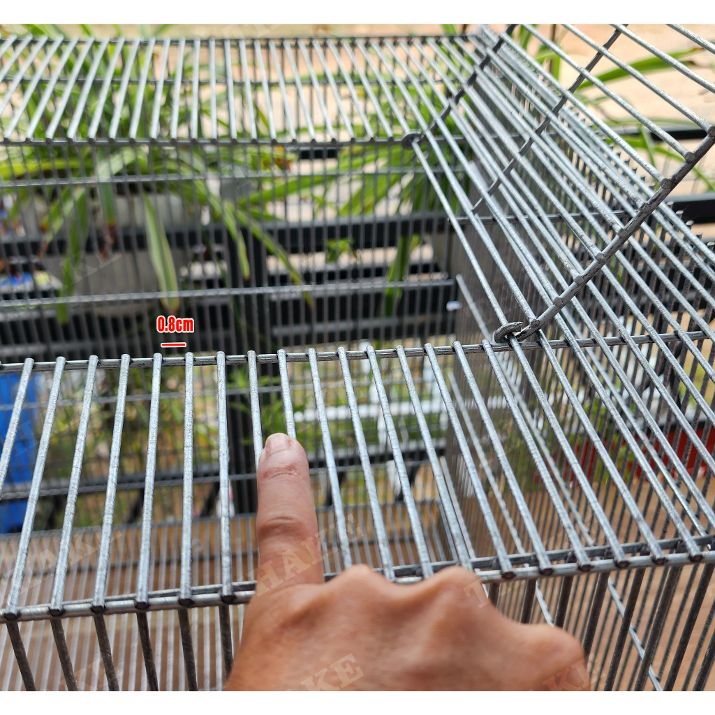 THAKE Chuồng úm gà con 100x50x50cm hai cửa trên Lồng nuôi chim bồ câu công nghiệp , gà tre