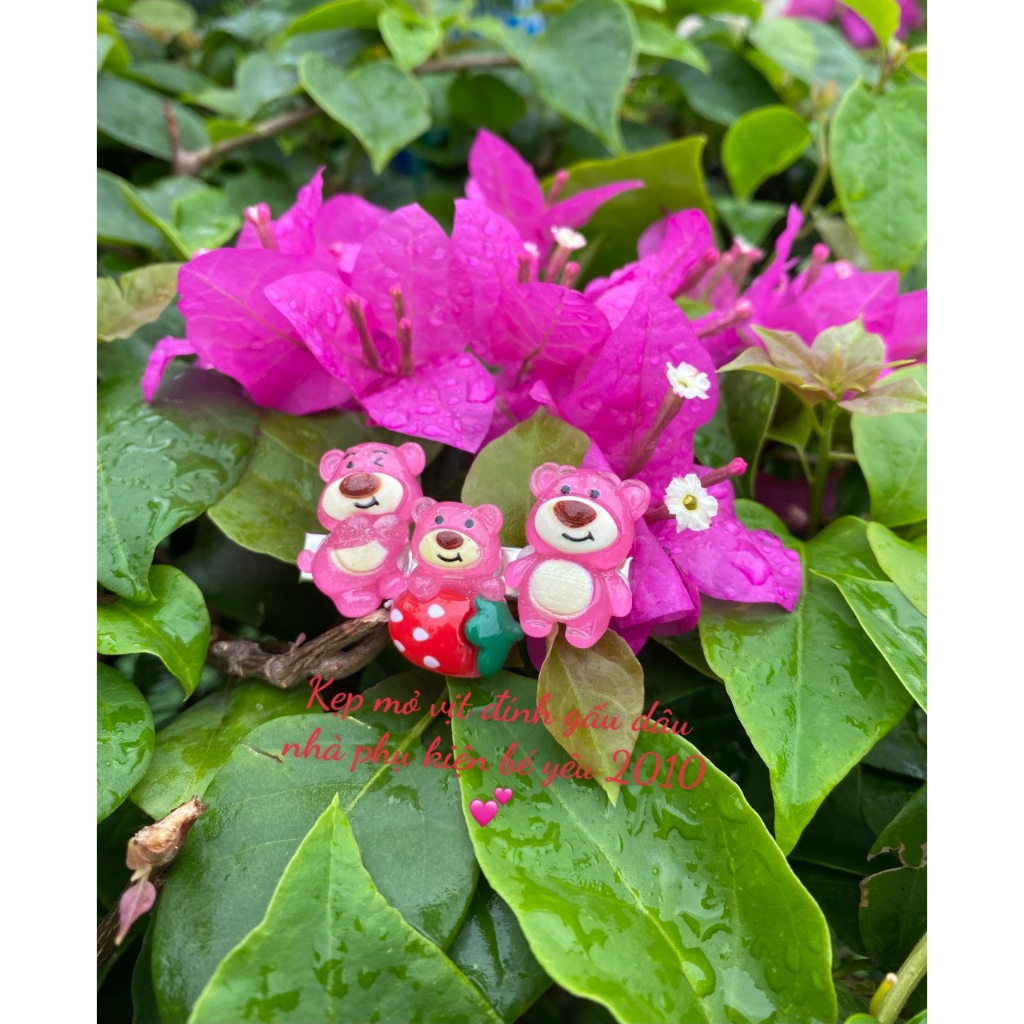 20 mẫu charm gấu dâu đục trong mix hot trend làm đồ handmade