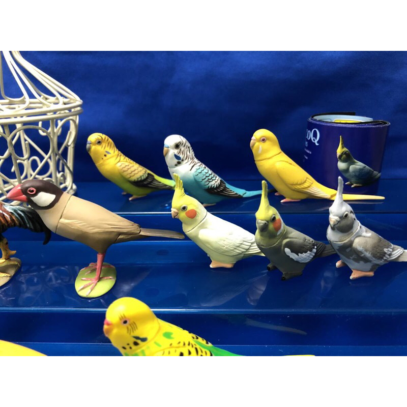 Mô hình vẹt đuôi dài Choco Q animal