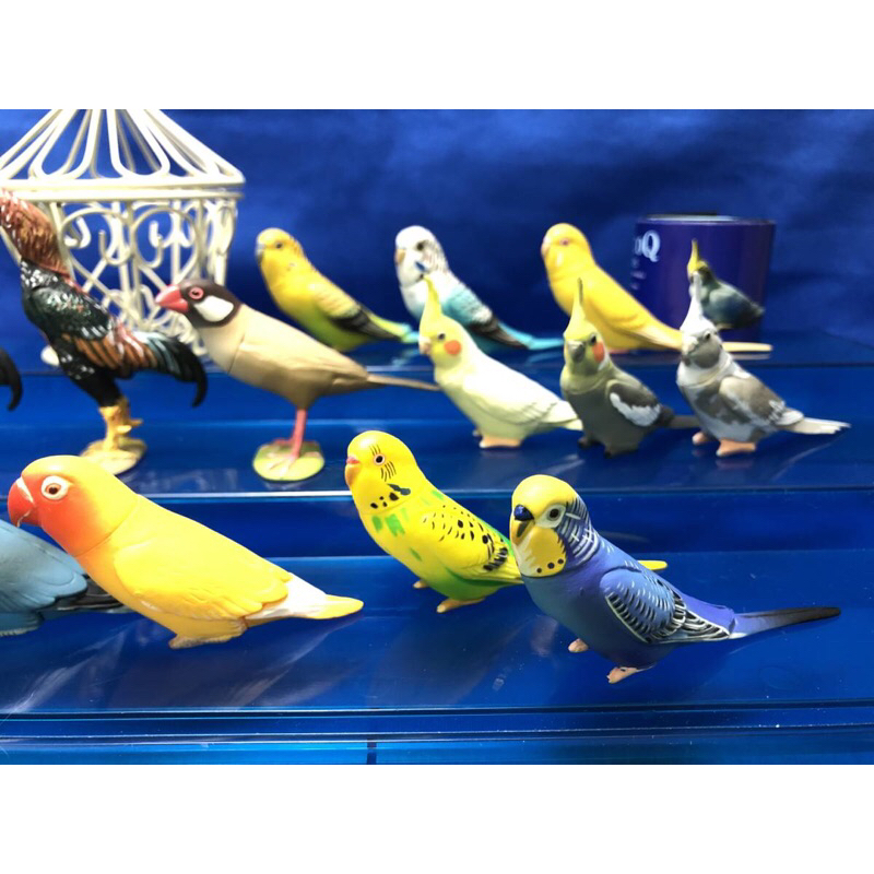 Mô hình vẹt đuôi dài Choco Q animal