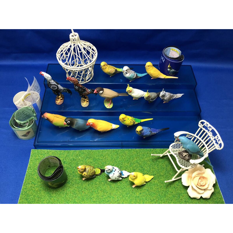 Mô hình vẹt đuôi dài Choco Q animal